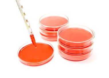  plaka kırmızı çözüm test laboratuarı