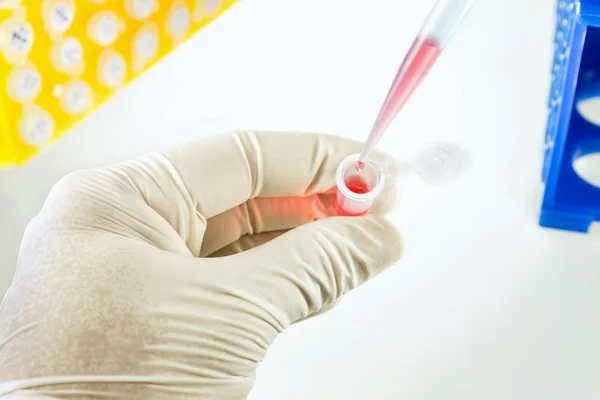 Upuść jasnoczerwony roztwór w laboratorium testowe mikro rury — Zdjęcie stockowe
