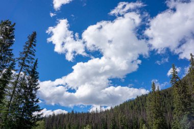 Rocky Dağı 'nın canlandırıcı ve zihin açıcı manzarası: nehir, göl, dağ, kar, gökyüzü