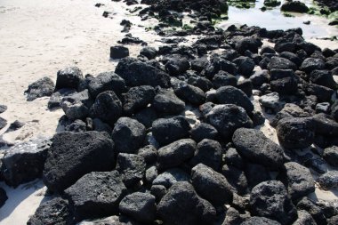 Jeju Adasının Güzelliği: Deniz Burnu, Manzara