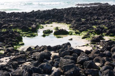 Jeju Adasının Güzelliği: Deniz Burnu, Manzara