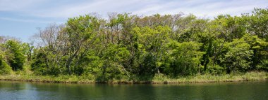 Jeju Adasının Güzelliği: Deniz Burnu, Manzara