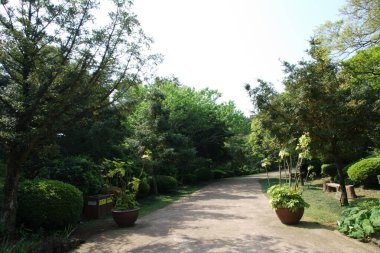 Jeju Adasının Güzelliği: Deniz Burnu, Manzara