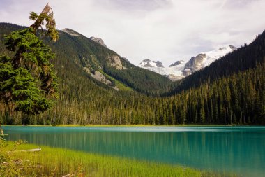 Joffre Gölü 'nün Büyüleyici Sahnesi