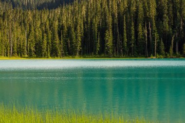Joffre Gölü 'nün Büyüleyici Sahnesi
