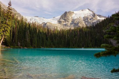 Joffre Gölü 'nün Büyüleyici Sahnesi