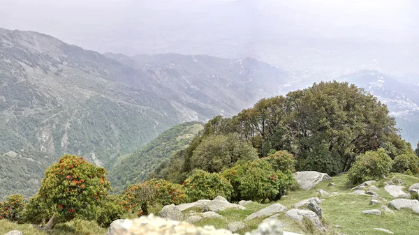 Panorama of Triund — Stock Photo, Image