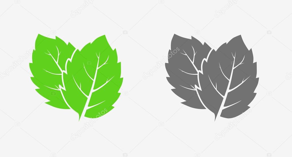 Mint. Icon set. Green and gray. Isolated leaves on white background