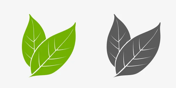 Set de iconos de hojas de té. Verde y gris. Hojas aisladas sobre fondo blanco — Vector de stock