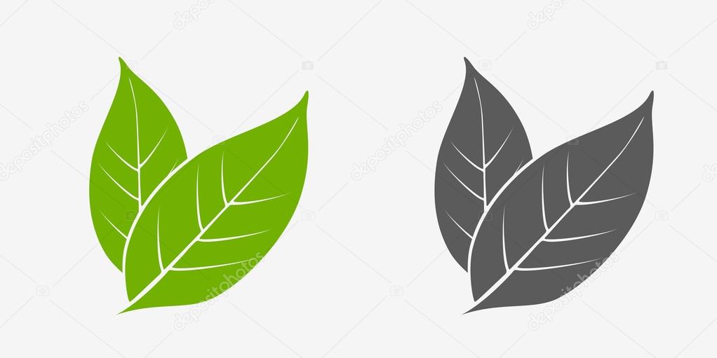 Tea leaves icon set. Green and gray. Isolated leaves on white background
