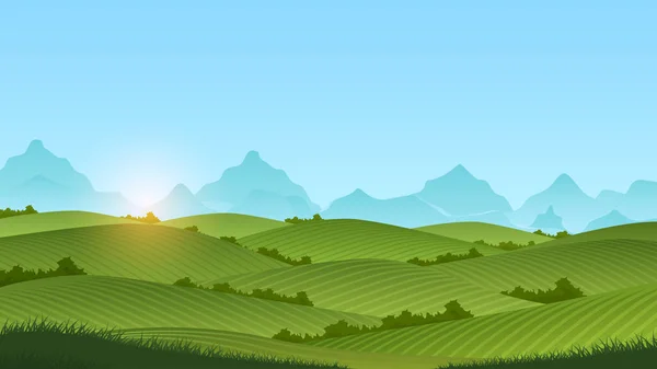 Vetor de paisagem de prado de verão Ilustração com grama verde e céu azul. — Vetor de Stock