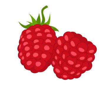 Olgun kırmızı ahududular. Beyaz arka planda izole edilmiş taze meyve..