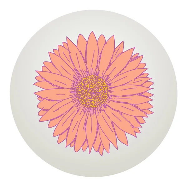 Gerbera daisy — Stock Vector © Woters 72125467