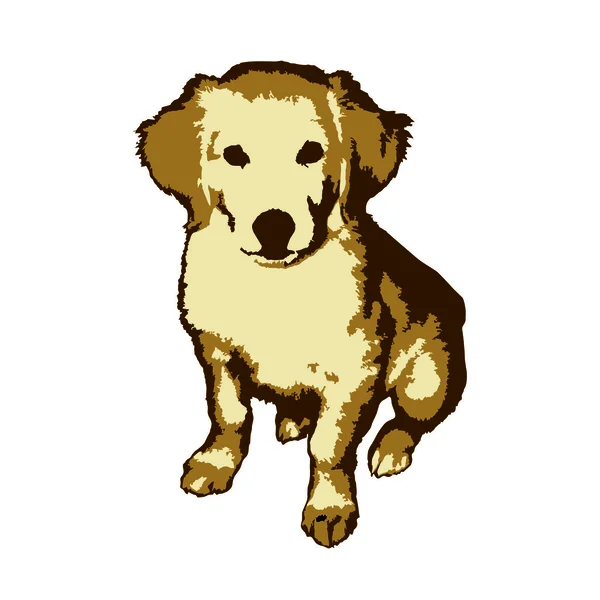 Fun and cute little dog golden retriever — Stock Vector