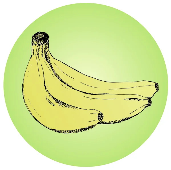 Färska bananer av gul färg. — Stock vektor