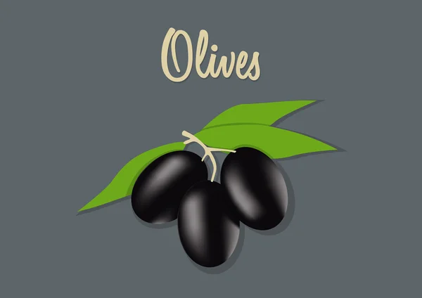 Ilustración vectorial de aceitunas negras — Archivo Imágenes Vectoriales