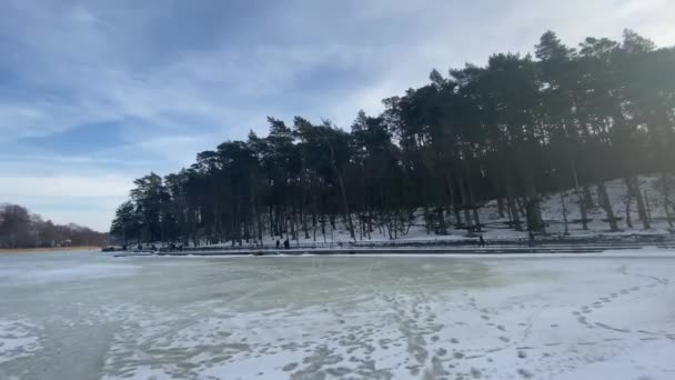 Prachtig Wintermeer Het Bos Het Riet Zwaait Wind Visser Zit — Stockvideo