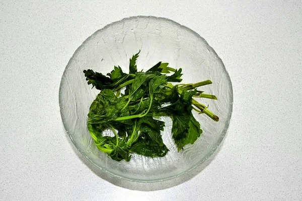 Sprigs Nettles First All Need Doused Boiling Water Sting — Stock Photo, Image