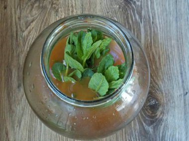 Nane şekerlerini gelecekteki kvass ile birlikte bir kavanoza koy ve onları boğ. Kavanozun üstünü kalın bir bez ile örtün ve 12 saat boyunca sıcak bir yere yerleştirin..