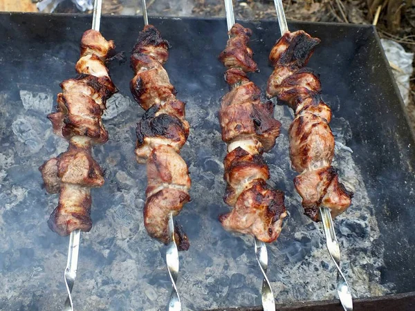 Pedaços Carne Onde Gordura Presença Marcas Bronzeado Permitida Retire Kebab — Fotografia de Stock