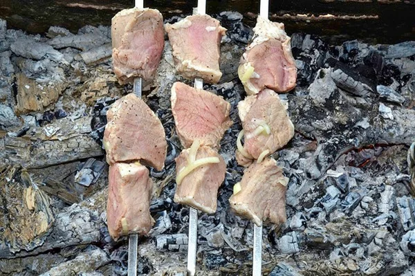 Küldj Forró Parazsat Barbecue — Stock Fotó