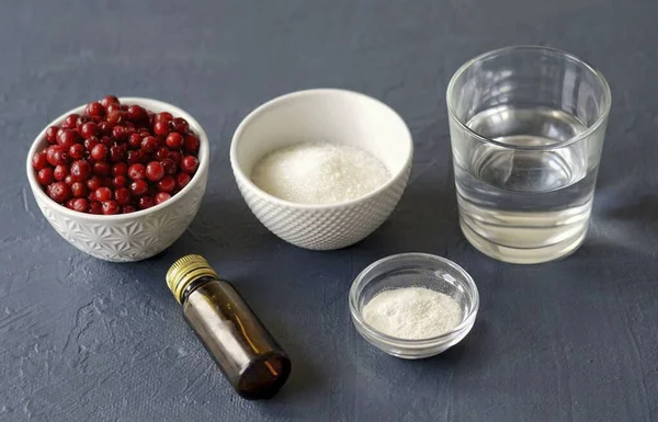 Prepare Todos Ingredientes Necessários Para Fazer Geleia Lingonberry — Fotografia de Stock