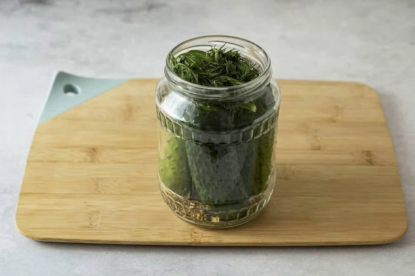 Cover Top Jar Sprig Dill — Stock Photo, Image