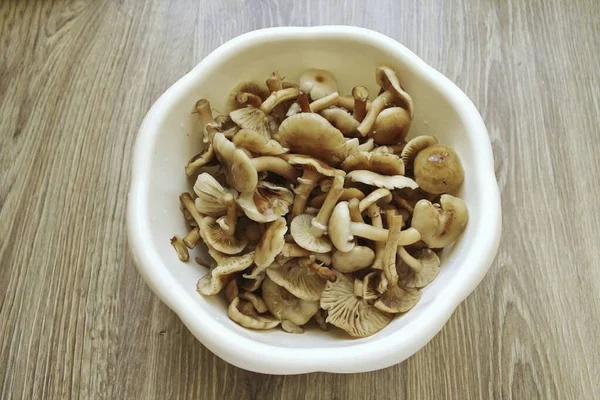 Sort out the mushrooms, peel, cut off the bottom of the legs and wash well. You can soak in cold water for a couple of hours, then rinse.