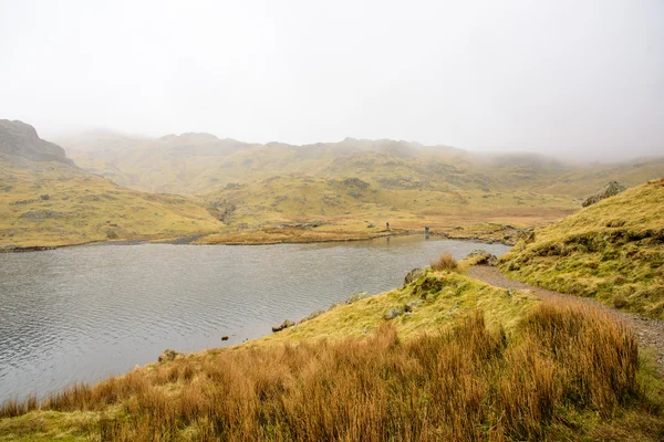 Sendero lago de montaña —  Fotos de Stock