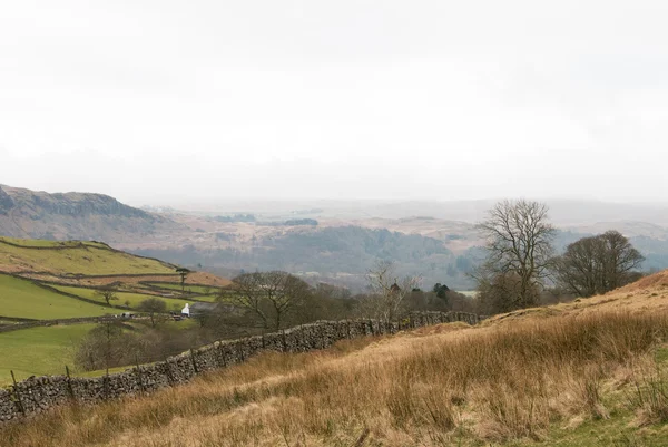 Eskdale směrem k moři — Stock fotografie