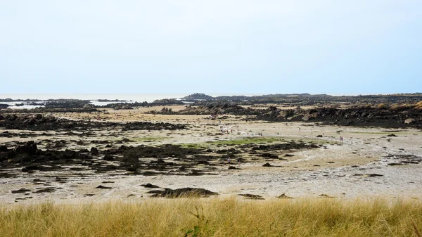 Le persone che camminano nel paesaggio della bassa marea di Iles de Chausey — Foto Stock