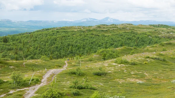 dağ hiking trail