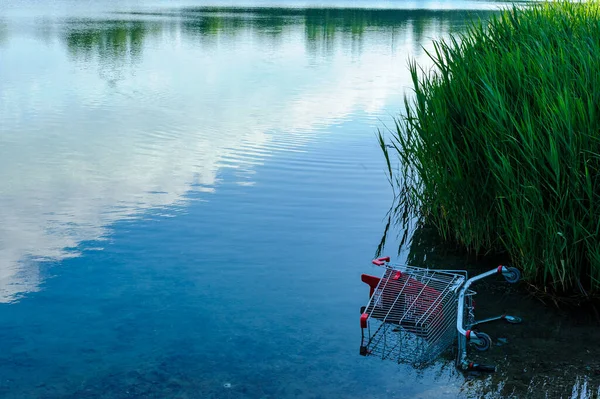 _Jp24987 Pollutions Don Need Shopping Cart Anymore Caddy Pushed Water — Stock Photo, Image