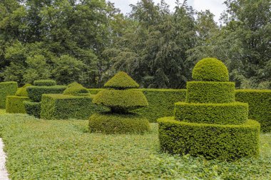 JP68949 - Fransa 'nın güneybatısındaki bir parkta sanatsal boxwood çalı ağaçları yol boyunca bir ara sokak oluşturur..