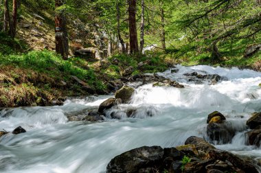 _ JP84799-motion bulanık etkisi - Fransız Alpleri 'ndeki bir dağ akıntısı ile hareket bulanıklığı etkisi - Hautes-Alpes' teki kayalar arasında yamaçtan aşağı bir sel akar. Hareket bulanıklığı etkisi yavaş bir deklanşör ayarlaması ile elde edilir.