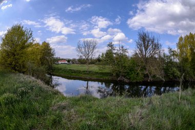 Baharda Zorn nehri, Alsace, Fransa. Zorn Nehri büyük bir nehrin küçük bir koludur, Ren Nehri. Yeni yapraklar kırsal araziyi renklendiriyor..