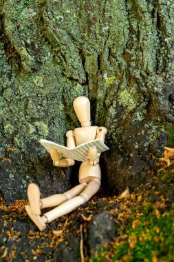 Haguenau, Alsace, Fransa 'da kukla okuma. Ağaç gövdesinin boşluğunda yatan bu tahta kukla gazete okuyor..