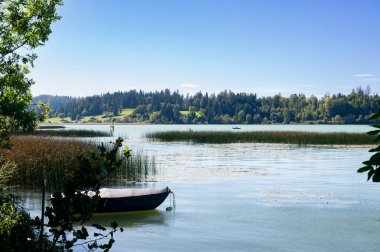 Saint-Point Gölü Fransa 'nın en büyük göllerinden biridir ve Pontarlier yakınlarındaki Jura bölgesinde yer almaktadır. Bu göl, 860 metre yükseklikte yer almaktadır.,
