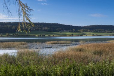 Saint-Point Gölü Fransa 'nın en büyük göllerinden biridir ve Pontarlier yakınlarındaki Jura bölgesinde yer almaktadır. 860 metre yükseklikte yer alan bu göl, iyi bilinen bir turizm merkezidir. Bölgenin spesiyalitesi Comt peyniri..