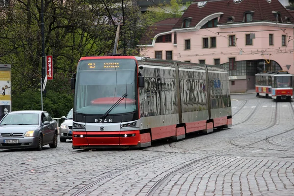 Modern şehir tramvay Skoda 15t mafsallı — Stok fotoğraf