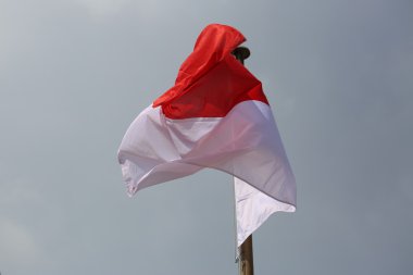 Monaco dalgalanan bayrak