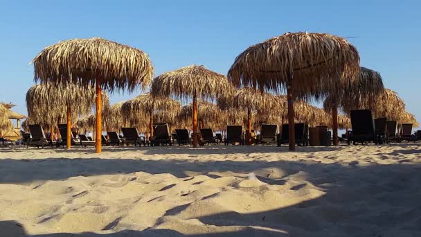 Guarda-sol de palha na praia — Vídeo de Stock