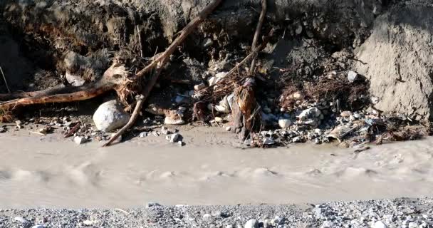 Flow Water Mud Roya River Menghancurkan Semua Yang Ada Jalurnya — Stok Video