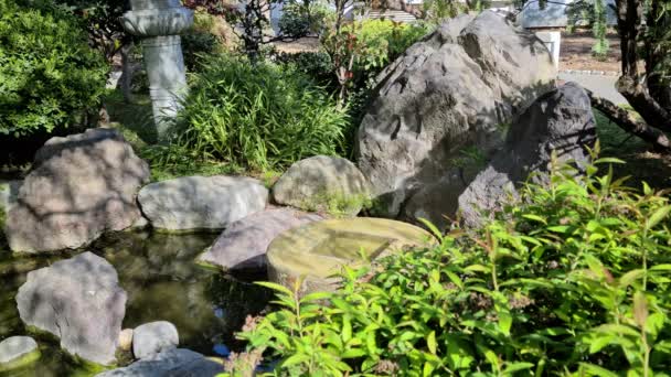 日本庭園内の岩や植物とのくつろぎの装飾噴水 Uhd 7680 4320 — ストック動画