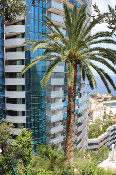 Palm Tree budovou luxusní — Stock fotografie