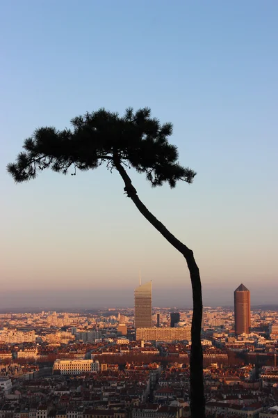 A bela cidade de Lyon — Fotografia de Stock