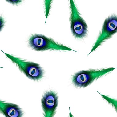 Tavus kuşu tüyleriyle kusursuz desen