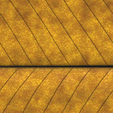 Yaprak yapısının yatay ve pürüzsüz deseni