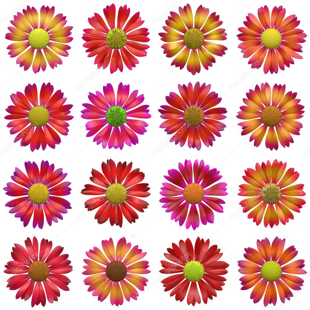 Seamless flower pattern  - set of several inflorescence 