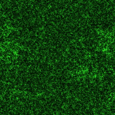 Kusursuz zümrüt orman yosun deseni  